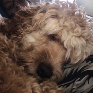 Meet your Posher, Emmaline